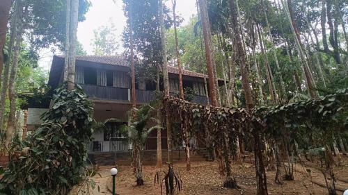 a building in the middle of a forest with trees at Ayurguru Ayurvedic Kalari Resort in Sultan Bathery