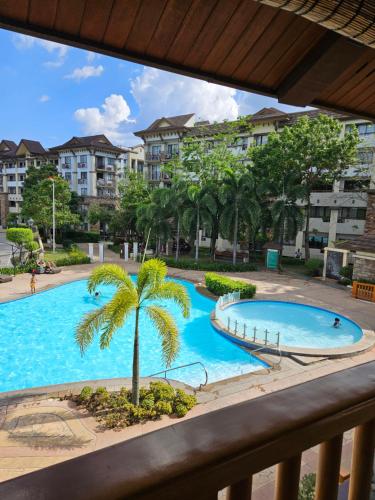 - une vue sur la piscine bordée d'un palmier dans l'établissement Cozy condo for rent, à Davao