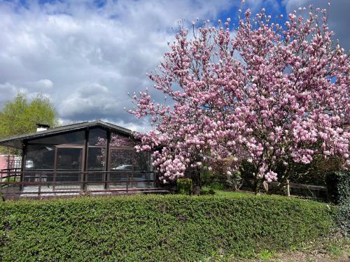 Spacieux chalet à Aywaille 야외 정원