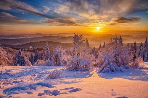 a winter sunrise in the mountains with snow covered trees at Krynicka Koliba na Jaworzynie Krynickiej in Krynica Zdrój