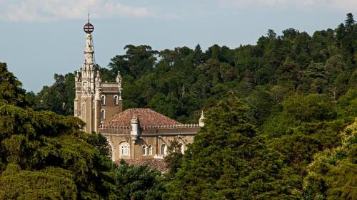 an old building in the middle of the trees at Palace Hotel do Bussaco in Luso