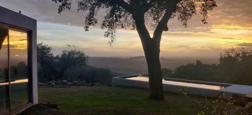 a house with a tree and a bath tub at Vigias -Eternal Landscapes in Marvão