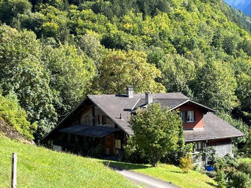 dom na wzgórzu obok drogi w obiekcie Chalet ALPEN LOTUS w mieście Innertkirchen