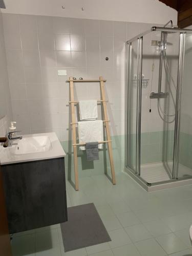 La salle de bains est pourvue d'une douche, d'un lavabo et d'une cabine de douche en verre. dans l'établissement B&B Stari Mlin - Vecchio Mulino, à San Giorgio