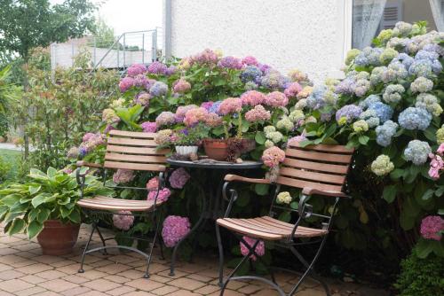 A garden outside Neckar-Koje