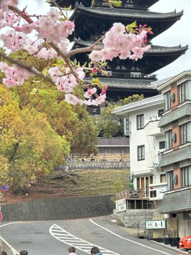 una pagoda sullo sfondo con fiori rosa in primo piano di Ryokan Kousen Kazeya Group a Nara