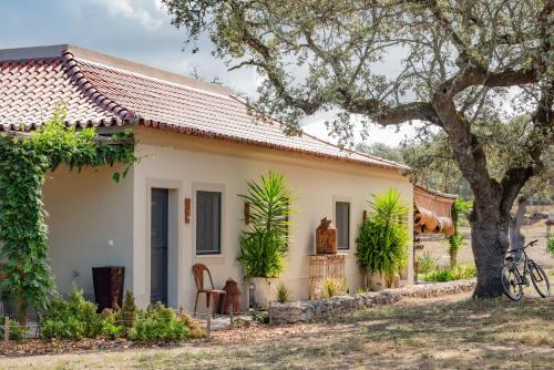 Un jardín fuera de Herdade da Saudade - CASA EQUUS