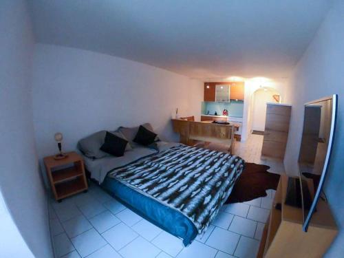 1 dormitorio con 1 cama grande y cocina en Private apartment with parking spot in the center, en Flims