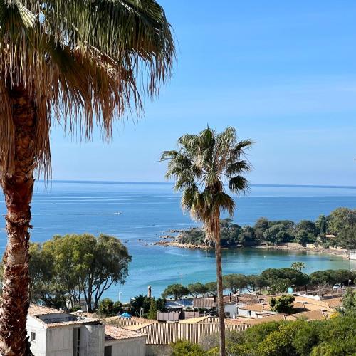 vista su una spiaggia con palme e sull'oceano di Quintessenza Casa in Ajaccio ad Ajaccio