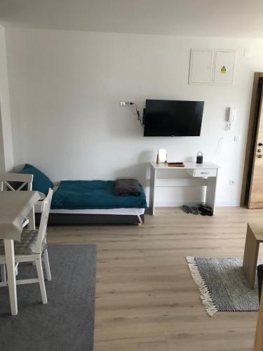 Sjónvarps- og/eða afþreyingartæki á Apartman SLAVONIA 2