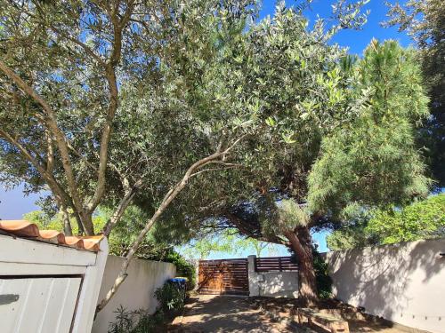 un árbol sobre una cerca blanca con una puerta en Villa Babeth by Nuits au Port, en La Rochelle