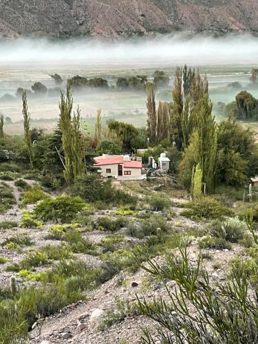 a house in the middle of a grassy field at Bello Atardecer in Tilcara