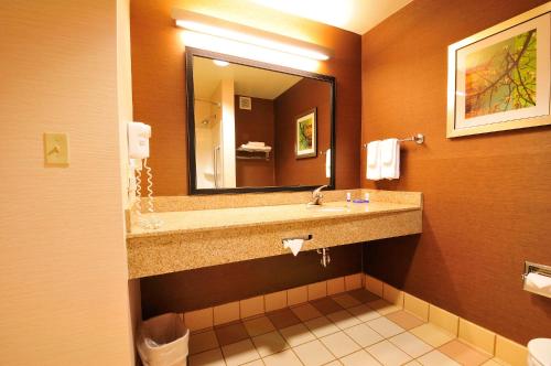 O baie la Fairfield Inn & Suites by Marriott Springdale