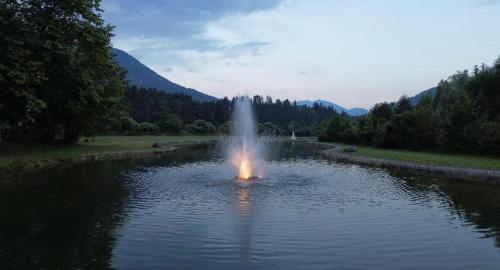 una fontana nel mezzo di un corpo d'acqua di Hotel Aplis a Ovaro