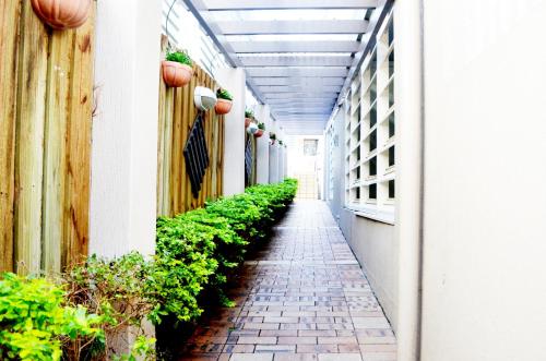 een lege hal van een huis met planten bij Spring Hill Mews Apartments in Brisbane