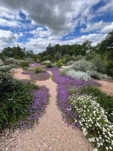 un jardín lleno de flores púrpuras y blancas en Casale Terre Rosse, en Saturnia