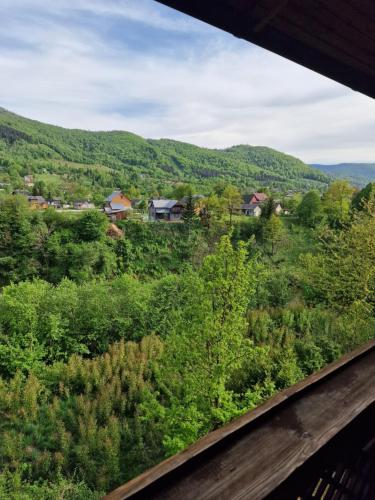 - une vue depuis la fenêtre d'un train d'une forêt dans l'établissement Гуцульська хата, à Yaremtche