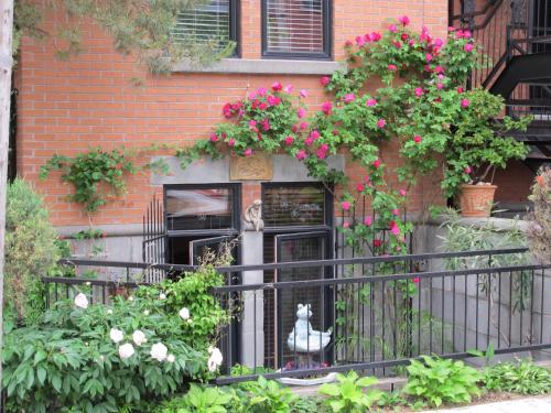 A Gem Downtown Montreal tesisinin dışında bir bahçe