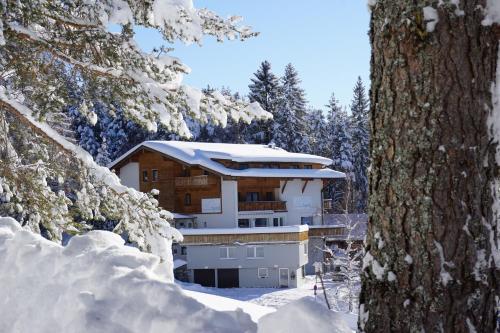 Hotel Pension Tyrol durante el invierno