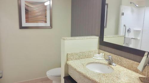 ein Badezimmer mit einem Waschbecken, einem WC und einem Spiegel in der Unterkunft Courtyard by Marriott Owensboro in Owensboro