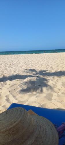 une ombre d'un arbre sur une plage de sable dans l'établissement Les Sons du Jardin Monastir, à Monastir