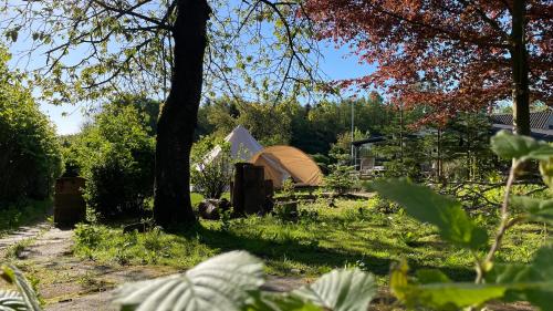 สวนหย่อมนอก Cozy Garden Glamping