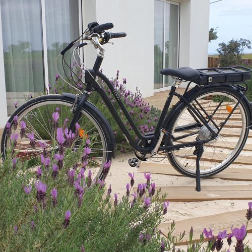 Montar en bicicleta en Casa Calmar o alrededores