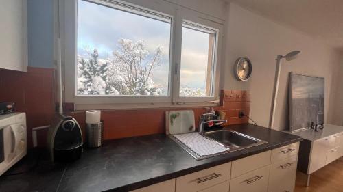 a kitchen with a sink and a window at Swiss Paradise Weggis in Weggis