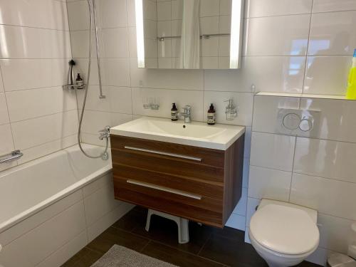 a bathroom with a sink and a toilet and a tub at Swiss Paradise Weggis in Weggis