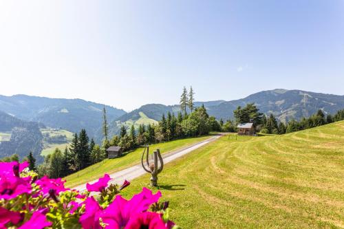 um campo com flores cor-de-rosa e uma estrada de terra em Landhaus Hochkönig em Mühlbach am Hochkönig