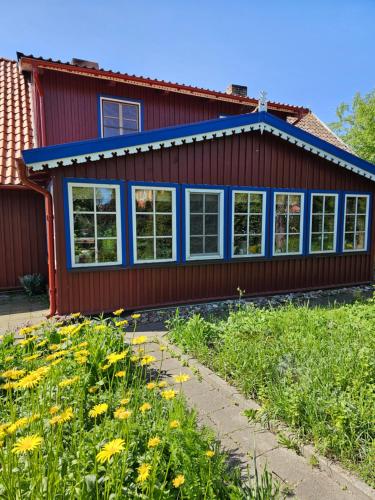 ein rotes Haus mit blauen Fenstern und einem Blumenfeld in der Unterkunft Nidos Rojus in Nida