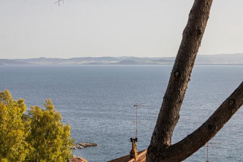 una vista del océano desde un árbol en La Bruna, en Porto Santo Stefano