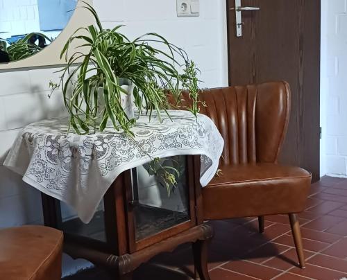 une table avec une plante à côté d'une chaise dans l'établissement Odenwaldferien Zur Sattelkammer, à Schönbrunn