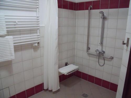 La salle de bains est pourvue d'une douche et de toilettes. dans l'établissement Hotel Słoneczny Młyn, à Bydgoszcz