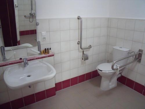 La salle de bains est pourvue de toilettes et d'un lavabo. dans l'établissement Hotel Słoneczny Młyn, à Bydgoszcz