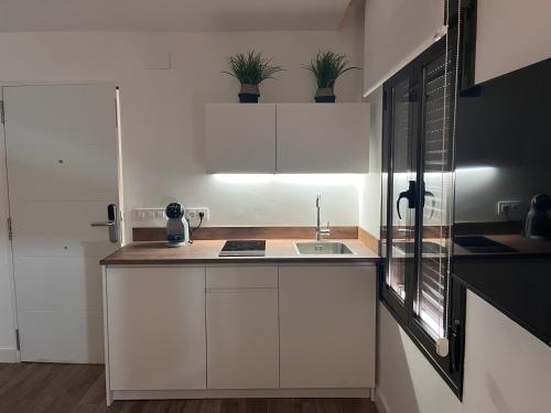 Una cocina o kitchenette en Mucho Trigo Apartments New