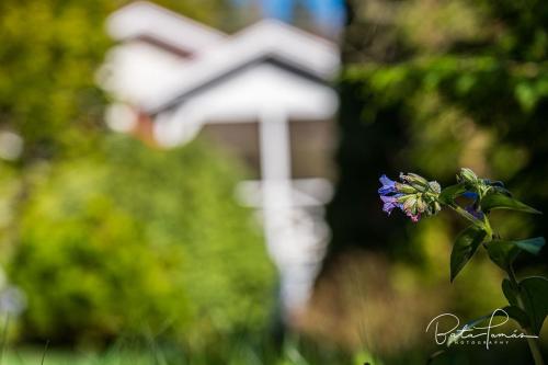 Un jardín fuera de Vidám Mókus Vendégház