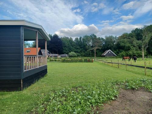 een gebouw in een veld met paarden op de achtergrond bij IJsvogel in Schipborg