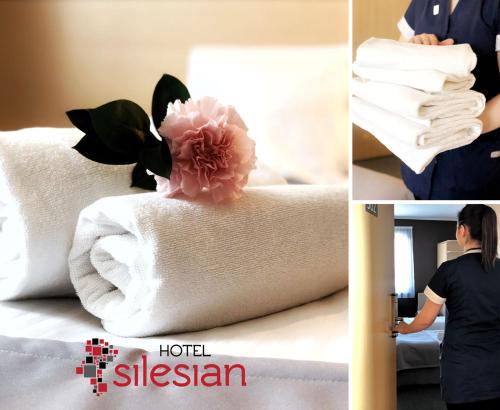 Kuvagallerian kuva majoituspaikasta Quality Silesian Hotel, joka sijaitsee kohteessa Katowice