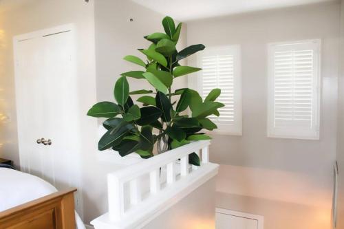 a plant sitting on a shelf in a bedroom at Cozy French Style Villa- 3 Bed-Casino-Pools-Jacuzzi in Norwich