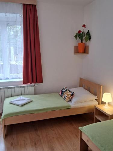 een slaapkamer met 2 bedden en een raam met een plant bij Hotel Garni Rambousek in Praag