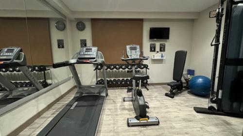 The fitness centre and/or fitness facilities at Golf Royal Hotel