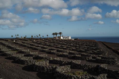 um grande campo de rochas na praia em César Lanzarote Luxury Boutique Hotel - Adults Only em La Asomada