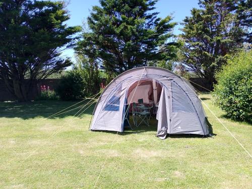 カイユー・シュル・メールにあるtente en baie de somme chez l habitantの庭の草の中のテント