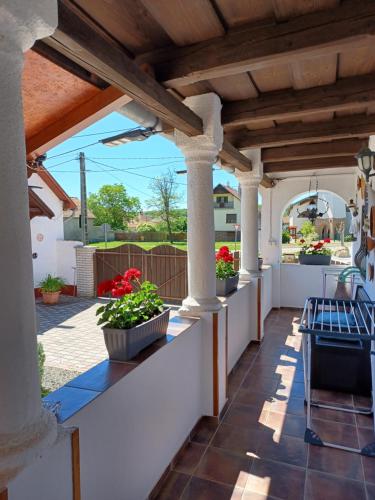 a patio with potted plants on a white wall at Harmony Vendégház Egerszalók in Egerszalók