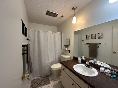 La salle de bains est pourvue d'un lavabo, de toilettes et d'une douche. dans l'établissement 2 Bed 1 Bath with 1 Car Garage, à Muncie