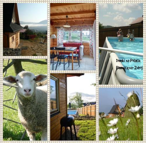 un collage de photos avec un mouton et une maison dans l'établissement Domki na Polach Piwniczna-Zdrój, à Piwniczna-Zdrój