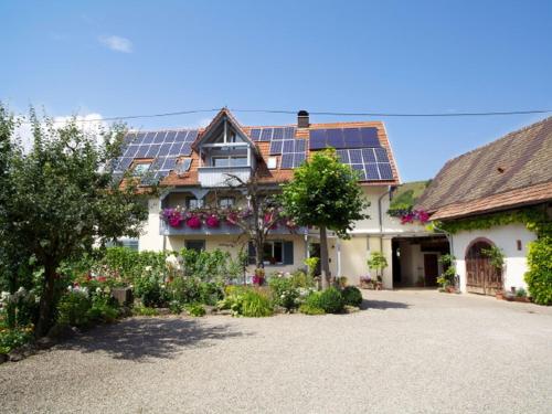 En have udenfor Winzerhof Bitzenhofer