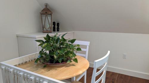 tavolo da pranzo con una pianta in vaso di Au Cachalot Caché le gîte hôtel a Tadoussac