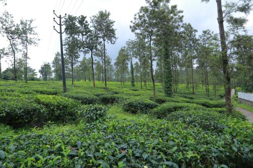 Kebun di luar CITADEL HOLIDAY HOME